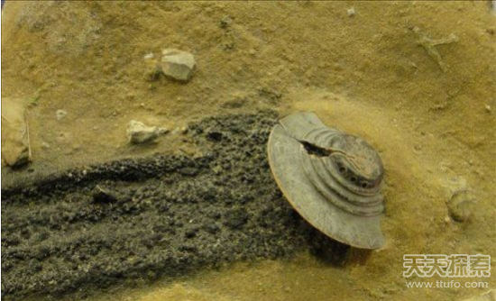 ufo與外星人之謎 UFO地球上墜毀留下外星人嬰兒