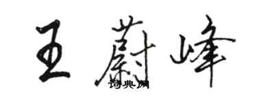 駱恆光王蔚峰行書個性簽名怎么寫
