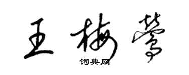 梁錦英王梅鶯草書個性簽名怎么寫