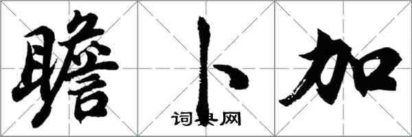 胡問遂瞻卜加行書怎么寫