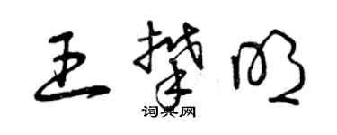 曾慶福王攀明草書個性簽名怎么寫