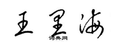 梁錦英王裏海草書個性簽名怎么寫