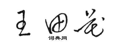 駱恆光王田花草書個性簽名怎么寫