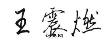 駱恆光王震燃行書個性簽名怎么寫