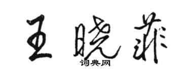駱恆光王曉菲行書個性簽名怎么寫