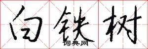 白鐵樹怎么寫好看