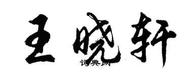 胡問遂王曉軒行書個性簽名怎么寫