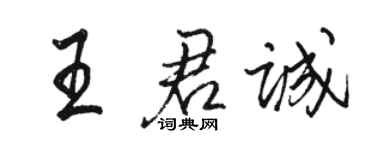 駱恆光王君誠行書個性簽名怎么寫