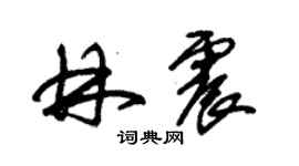 朱錫榮林震草書個性簽名怎么寫