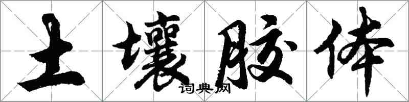 胡問遂土壤膠體行書怎么寫