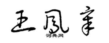 曾慶福王鳳章草書個性簽名怎么寫