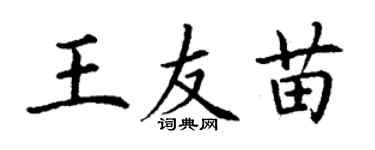 丁謙王友苗楷書個性簽名怎么寫