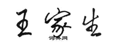 駱恆光王家生行書個性簽名怎么寫