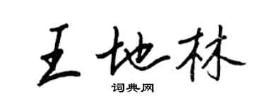 王正良王地林行書個性簽名怎么寫