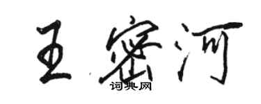 駱恆光王密河行書個性簽名怎么寫