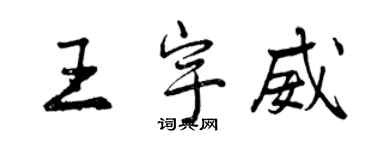 曾慶福王宇威行書個性簽名怎么寫