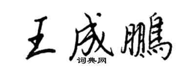 王正良王成鵬行書個性簽名怎么寫