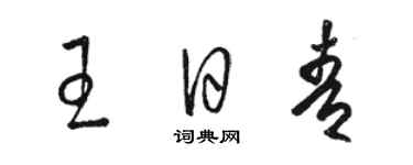 駱恆光王日青草書個性簽名怎么寫