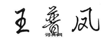 駱恆光王普鳳行書個性簽名怎么寫