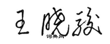 駱恆光王曉駿草書個性簽名怎么寫