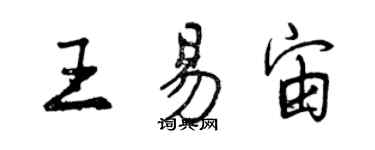 曾慶福王易宙行書個性簽名怎么寫