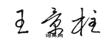 駱恆光王景柱草書個性簽名怎么寫