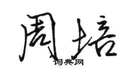 駱恆光周培行書個性簽名怎么寫