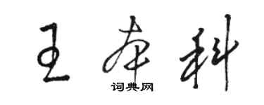 駱恆光王本科草書個性簽名怎么寫