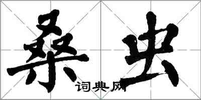 翁闓運桑蟲楷書怎么寫