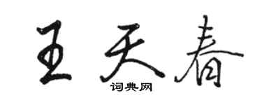 駱恆光王天春行書個性簽名怎么寫