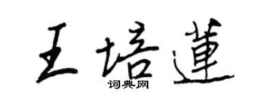 王正良王培蓮行書個性簽名怎么寫