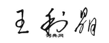 駱恆光王利晶草書個性簽名怎么寫