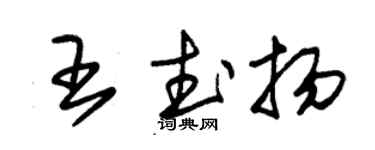 朱錫榮王武揚草書個性簽名怎么寫