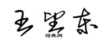 朱錫榮王望東草書個性簽名怎么寫