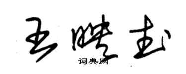 朱錫榮王映武草書個性簽名怎么寫