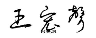 曾慶福王宏聲草書個性簽名怎么寫