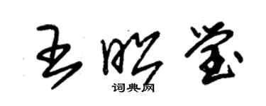 朱錫榮王昭瑩草書個性簽名怎么寫