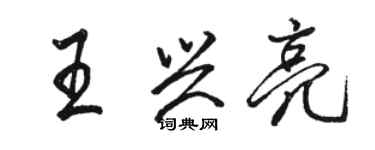 駱恆光王興亮行書個性簽名怎么寫