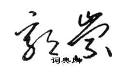 駱恆光郭崇草書個性簽名怎么寫