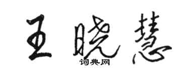 駱恆光王曉慧行書個性簽名怎么寫