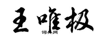 胡問遂王唯極行書個性簽名怎么寫