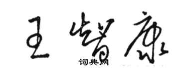 駱恆光王智康草書個性簽名怎么寫