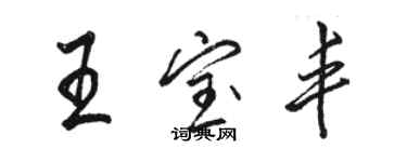 駱恆光王寶豐行書個性簽名怎么寫