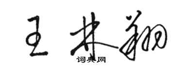 駱恆光王林翔草書個性簽名怎么寫