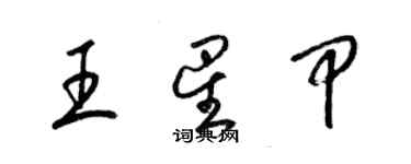 梁錦英王星甲草書個性簽名怎么寫