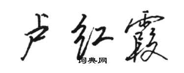 駱恆光盧紅霞行書個性簽名怎么寫