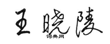 駱恆光王曉陵行書個性簽名怎么寫