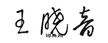 駱恆光王曉音草書個性簽名怎么寫