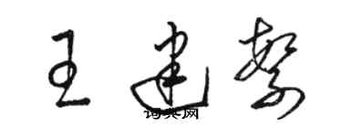 駱恆光王建繁草書個性簽名怎么寫