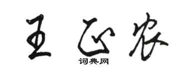 駱恆光王正農行書個性簽名怎么寫